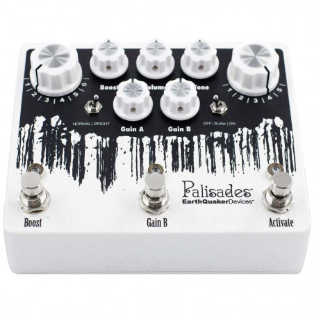 EarthQuaker Devices Palisades
