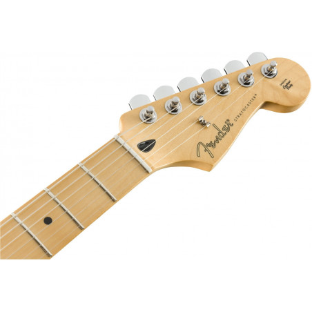 Fender Player Stratocaster MN TPL