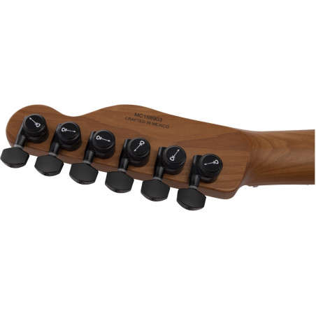 Charvel PRO-MOD SO-CAL STYLE 2 24 HH 2PT CM ASH Black Ash