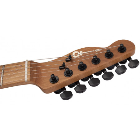 Charvel PRO-MOD SO-CAL STYLE 2 24 HH 2PT CM ASH Black Ash