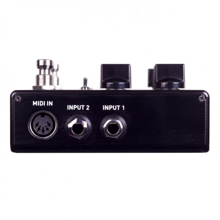 Source Audio Nemesis Delay