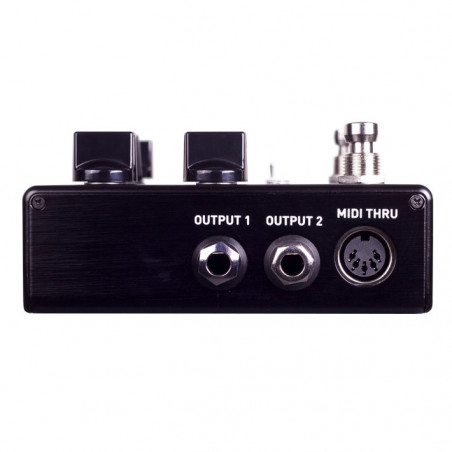 Source Audio Nemesis Delay