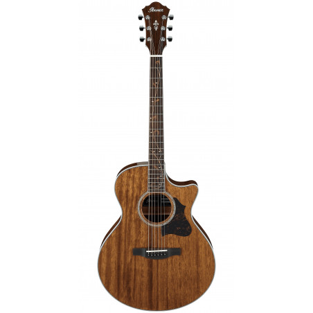 Ibanez AE245 - Natural High Gloss