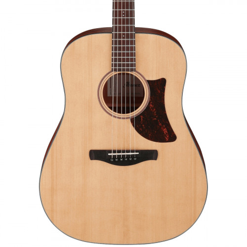 Ibanez Advanced Acoustic AAD100