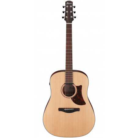 Ibanez Advanced Acoustic AAD100E