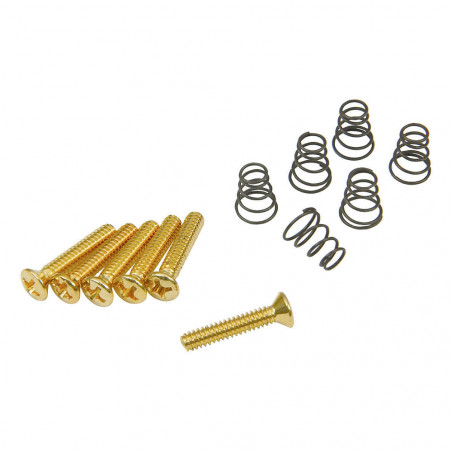 DiMarzio Vintage Single-coil Mounting Hardware Kit Gold