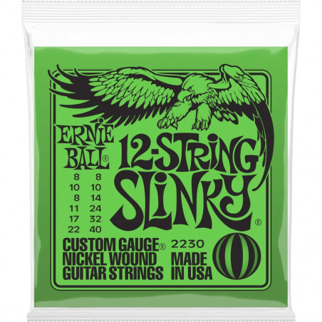 Ernie Ball Nickel 12-String Slinky