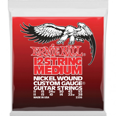 Ernie Ball Nickel 12-String Slinky, Medium