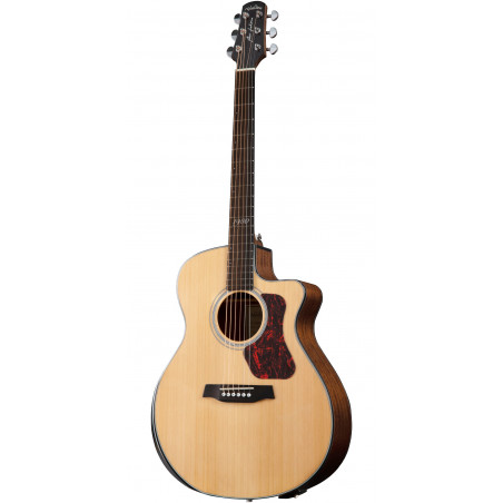 Walden Rui Veloso Sign. RV70 w/ Gig Bag