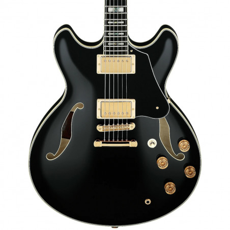 Ibanez John Scofield Signature 20th Anniversary JSM20th