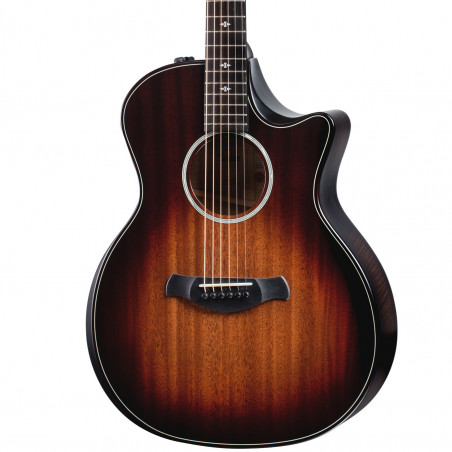 Taylor Builder's Edition 324ce