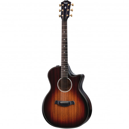 Taylor Builder's Edition 324ce