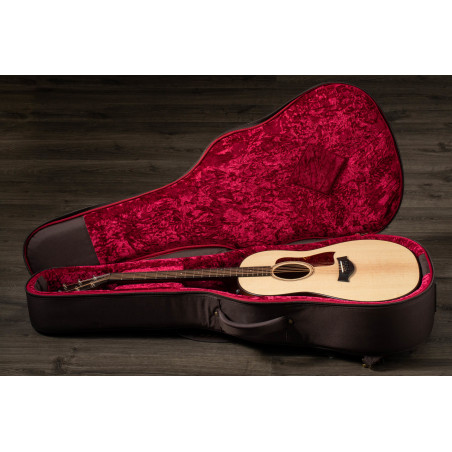 Taylor AD17e
