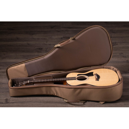 Taylor 114e