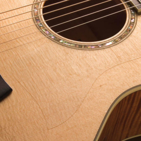 Taylor Pickguard, Static Universal