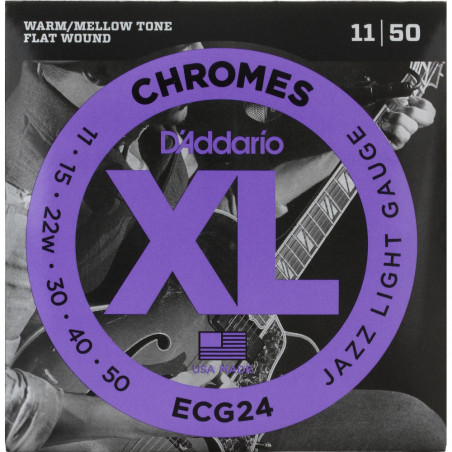 D'Addario ECG24 Flatwound