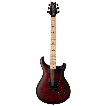 PRS CE 24 Dustie Waring Floyd - Waring Burst