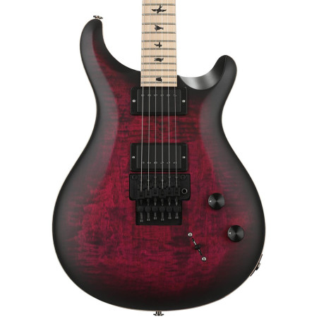 PRS CE 24 Dustie Waring Floyd - Waring Burst