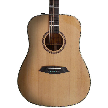 Sire Larry Carlton A4-D, Natural