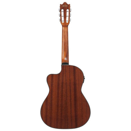 Ibanez 3/4 Thinline Cutaway Classical Guitar, Amber High Gloss