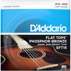 D'Addario EFT16 Cordas Guitarra Acústica 12-53