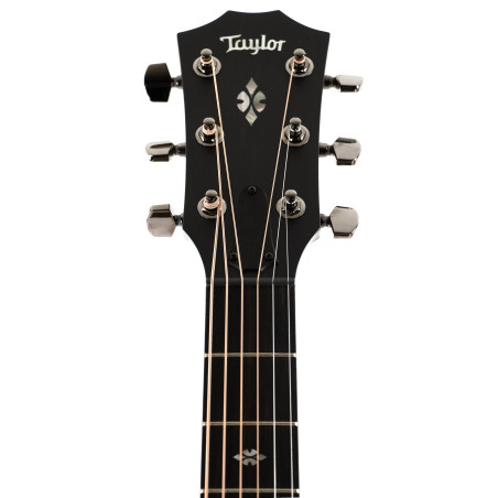 Taylor Custom GA