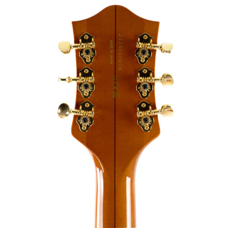 Gretsch G6120TGQM-56 Lim. Ed. Quilt Classic Chet Atkins Hollow, Roundu