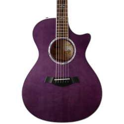 Taylor Custom GC