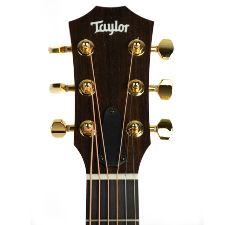 Taylor 50th Anniversary GS Mini-e Rosewood SB LTD