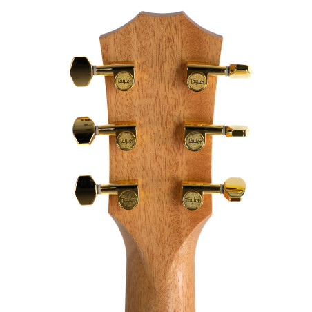 Taylor 50th Anniversary GS Mini-e Rosewood SB LTD