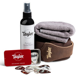 Taylor Essentials Pack - Guitarras Acabamento Brilhante