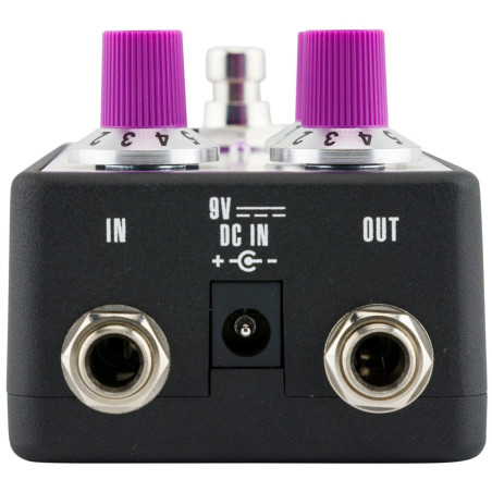 Fender Bassman Fuzz