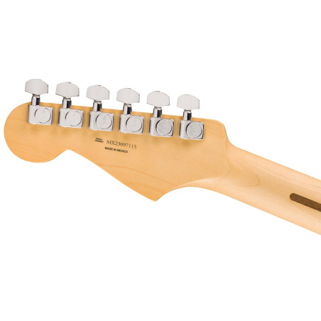 Fender Player Stratocaster MN Anniversary 2-Color Sunburst