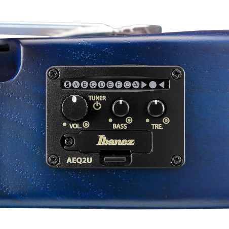 Ibanez AUP10FMNE Transparent Blue Sunburst Open Pore