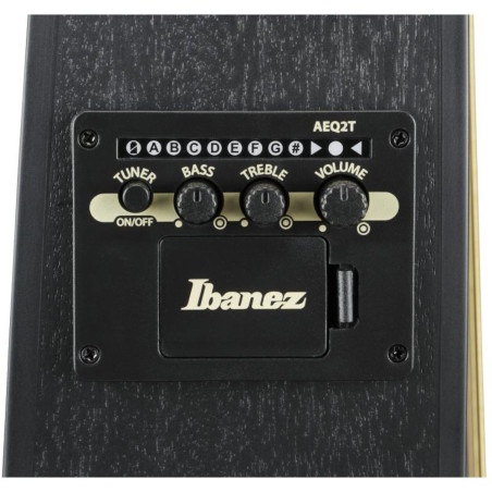 Ibanez TCY621 Black Out
