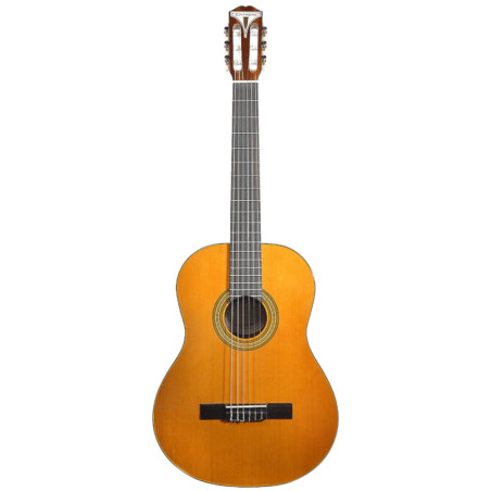 Epiphone PRO-1 Spanish Classic 2'' nut