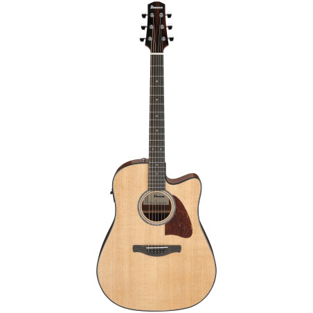 Ibanez Advanced Acoustic AAD51CE Natural