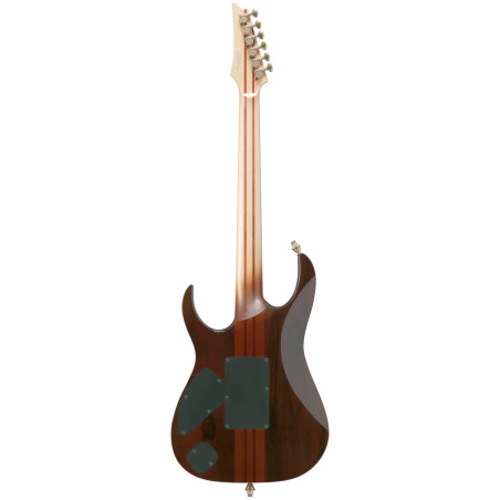 Ibanez IV1RG Visions
