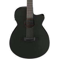 Ibanez AEG621, Black Out