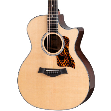 Taylor Next Generation 414ce