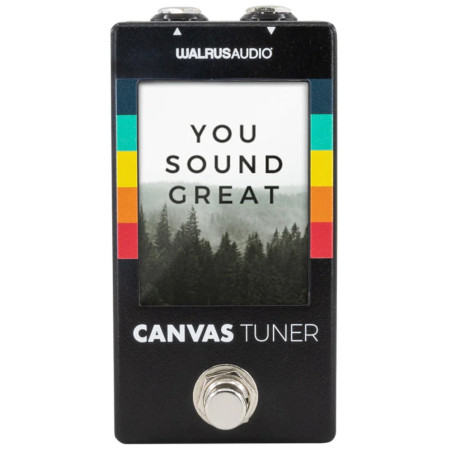 Walrus Audio Canvas Guitar Tuner