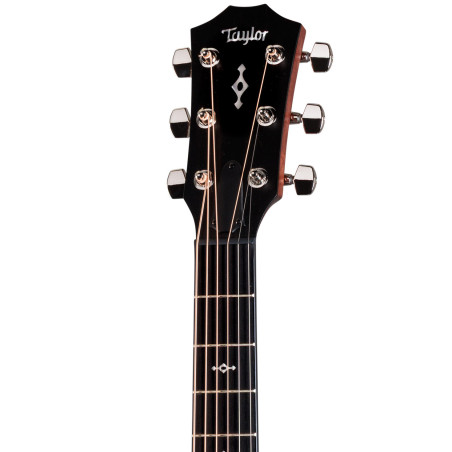 Taylor Next Generation 314ce (2026)