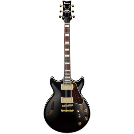 Ibanez Artcore AM73G, Black