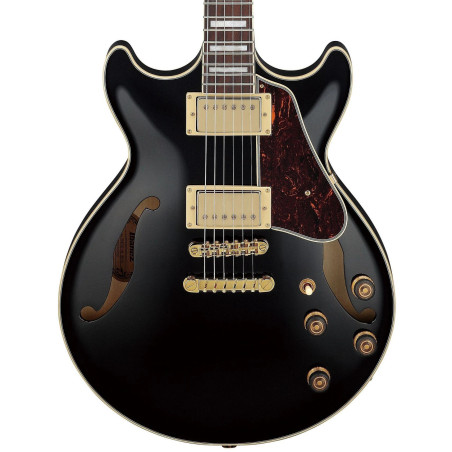 Ibanez Artcore AM73G, Black