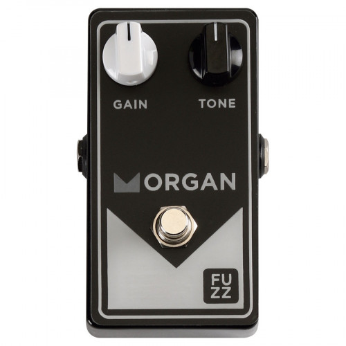 Morgan Fuzz