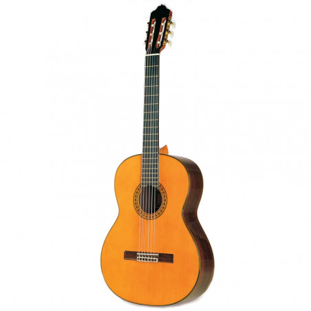 Esteve Mod. 8 Classic Guitar