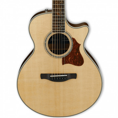Ibanez AE205JR