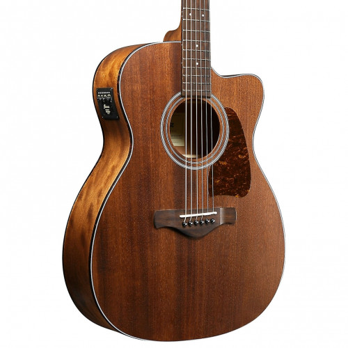 Ibanez Artwood Vintage Thermo Aged AVC9CE