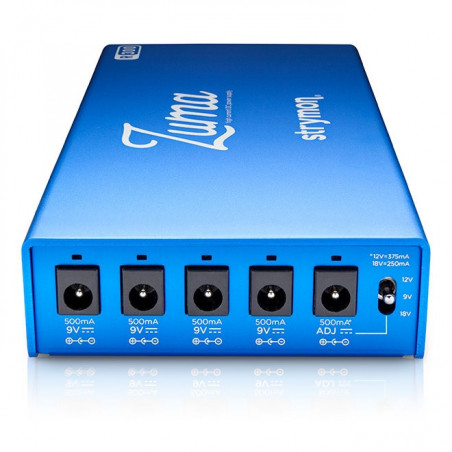 Strymon Zuma R300