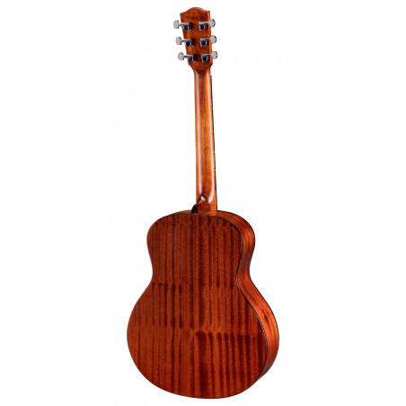 Eastman AC Series ACTG1
